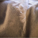 Couverture MOHAIR 220x240 - Lin 100 %  Mohair - Brun de Vian-Tiran